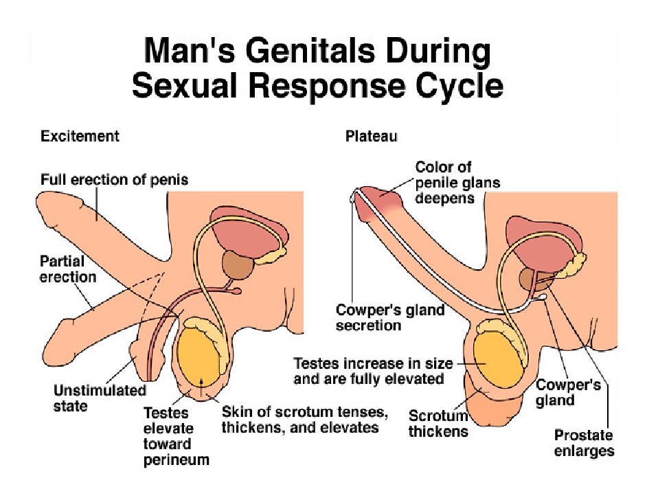How to stimulate the perineum